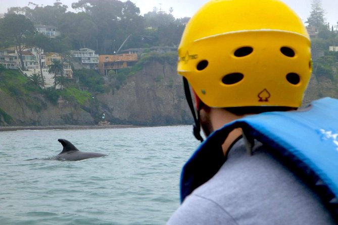 La Jolla Sea Caves Kayak Tour For Two (Tandem Kayak) - Why the tandem kayak works for beginners