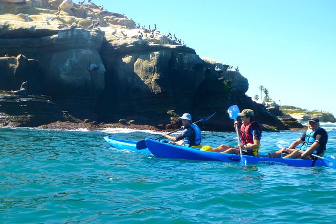 La Jolla Sea Caves Kayak Tour For Two (Tandem Kayak) - Is $75 good value for two people?