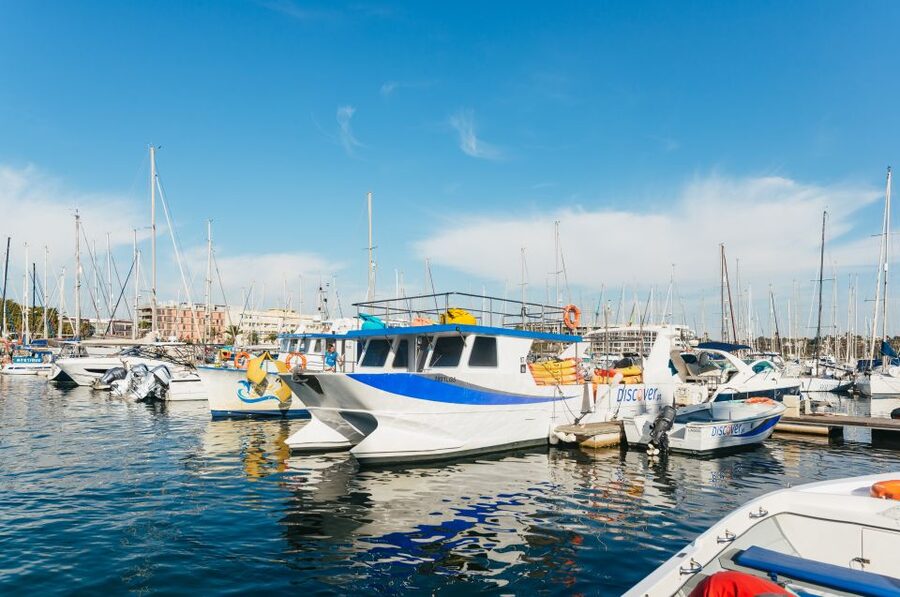 Lagos: Kayak Experience - Is $35 a good price?