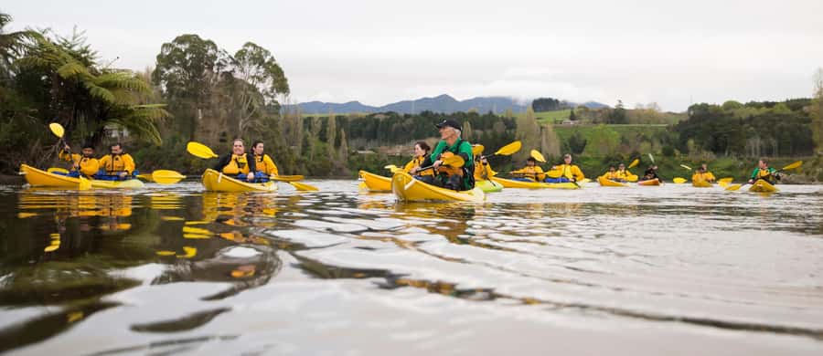 Lake Karapiro: Evening Kayak Glowworm Tour - When the canyon lights up