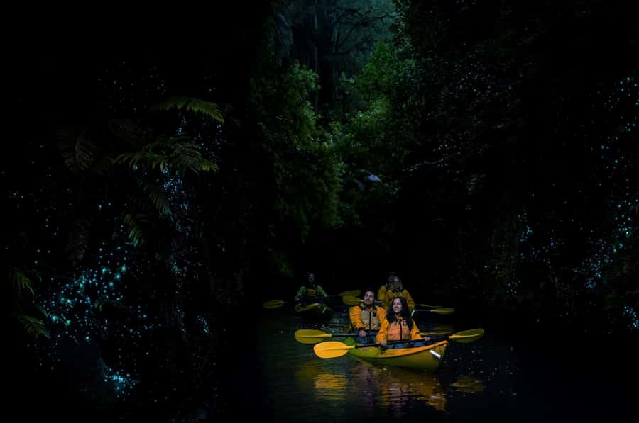 Lake Karapiro: Evening Kayak Glowworm Tour - Should you book the Lake Karapiro glowworm tour?