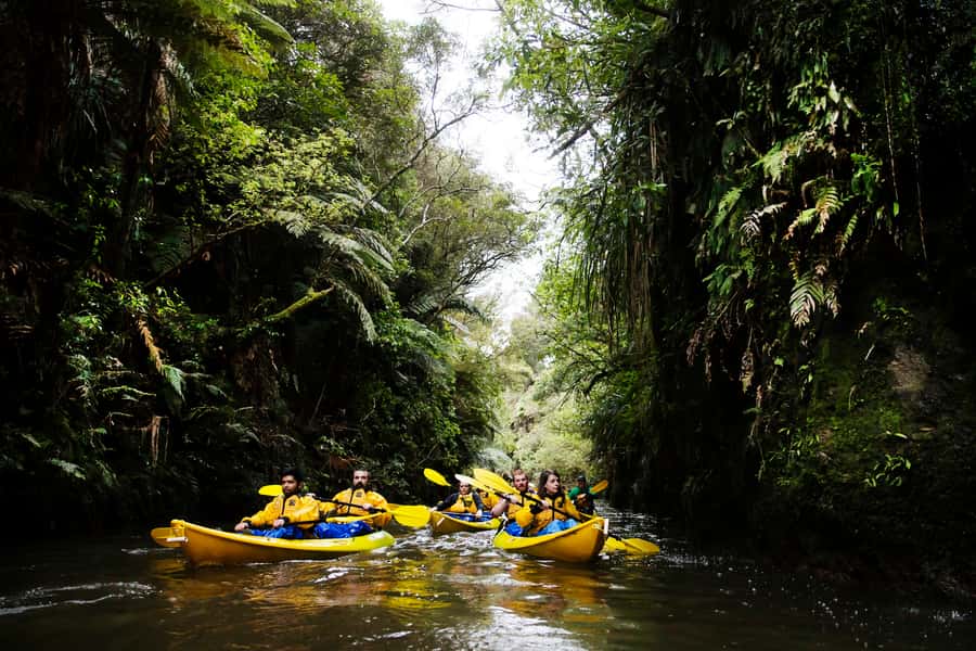 Lake Karapiro: Evening Kayak Glowworm Tour - Twilight on the Pokaiwhenua Stream