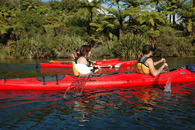 Lake Rotoiti Evening Kayak Tour including Hot Springs, Glowworm Caves and BBQ Dinner - Soaking at the warm lakeside pools