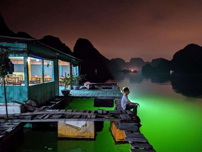 Lan Ha Bay: Bioluminescent Plankton Kayak Tour from Beo Pier - Key points to know before booking