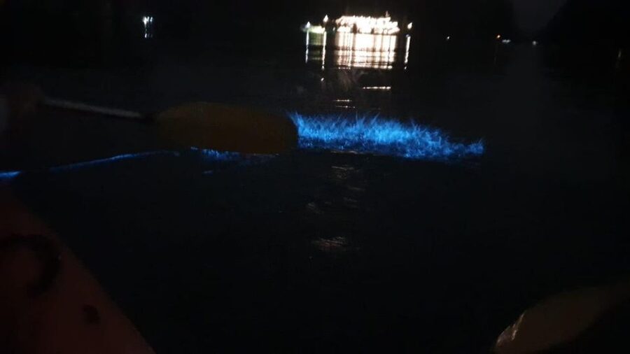 Lan Ha Bay: Sunset & Plankton Bioluminescent Night Kayaking - What the scenery is really like after dark