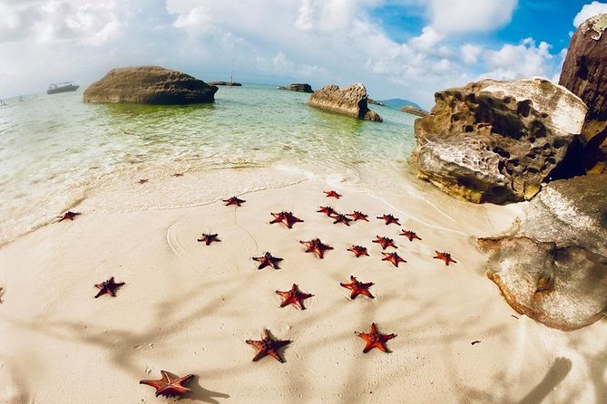 Land Tour 2: Discover the North - Kayaking & Starfish beach Phu Quoc (Not Lunch) - Walking beneath old trees in Phu Quoc National Park