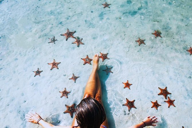 Land Tour 2: Discover the North - Kayaking & Starfish beach Phu Quoc (Not Lunch) - Kayaking the Cua Can River