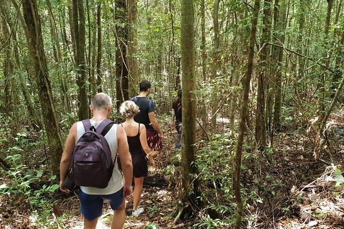 Land Tour 2: Discover the North - Kayaking & Starfish beach Phu Quoc (Not Lunch) - Is $44 good value for Phu Quoc?