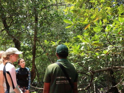 Langkawi: Kayaking Adventure and Swimming