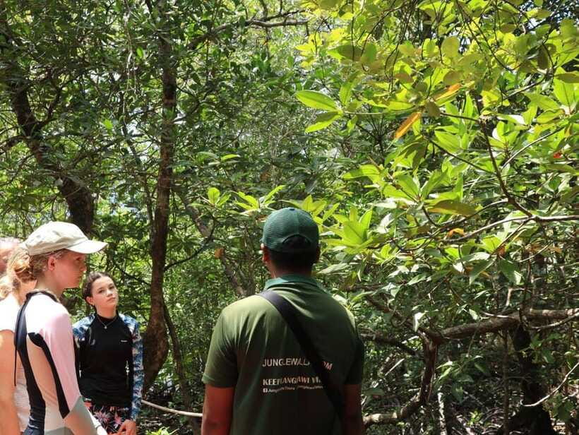 Langkawi: Kayaking Adventure and Swimming - How demanding is the kayaking?
