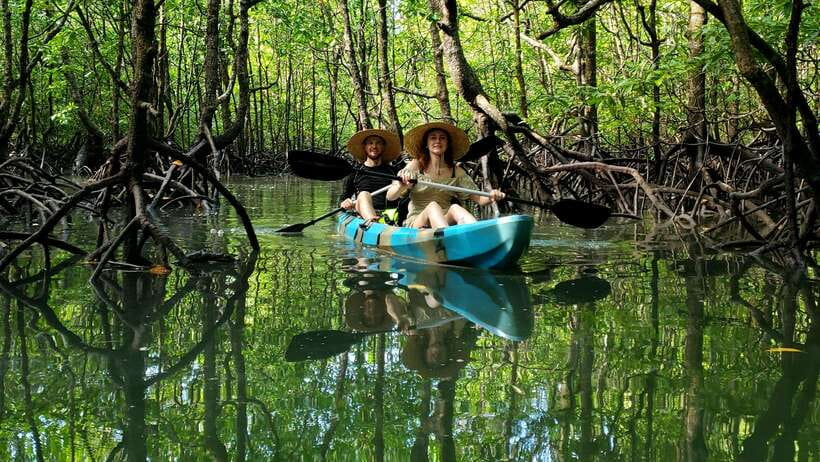 Langkawi : Kilim Geoforest Mangrove Kayak Tour with Lunch - Safety briefing and beginner-friendly equipment