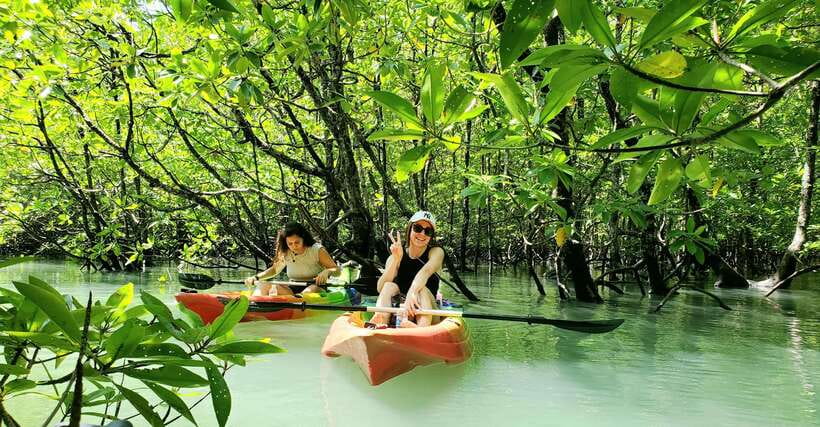 Langkawi : Kilim Geoforest Mangrove Kayak Tour with Lunch - Paddling into the mangrove channels