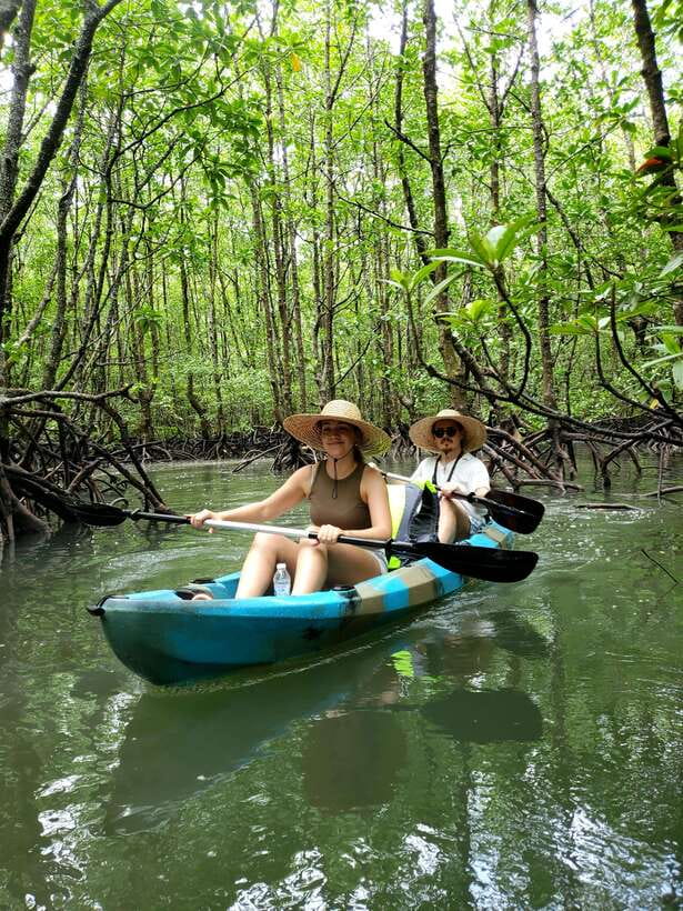 Langkawi : Kilim Geoforest Mangrove Kayak Tour with Lunch - Eagle watching without feeding