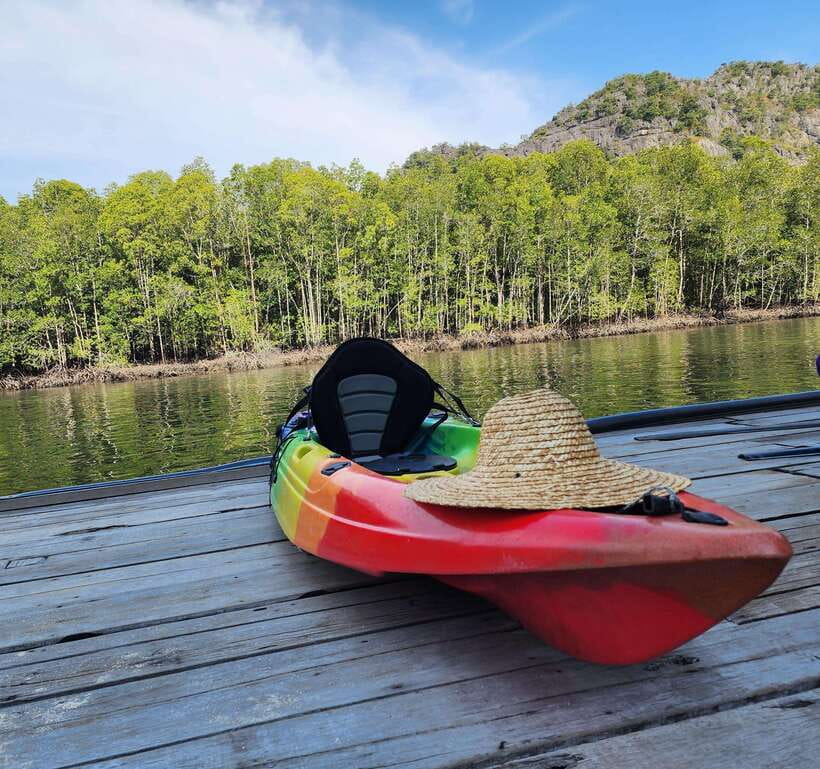 Langkawi : Kilim Geoforest Mangrove Kayak Tour with Lunch - Optional bat cave and extra wildlife stops