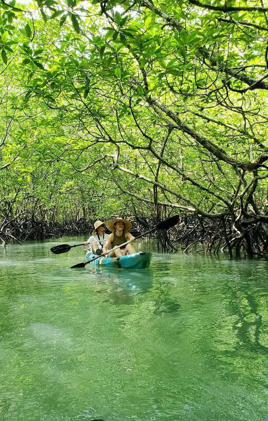 Langkawi : Kilim Geoforest Mangrove Kayak Tour with Lunch - Guides make this tour work
