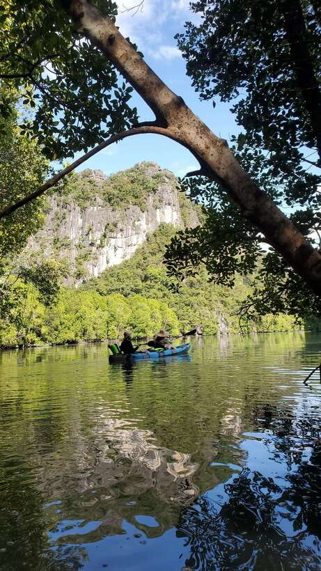 Langkawi : Kilim Geoforest Mangrove Kayak Tour with Lunch - Starting at Kilim Geoforest Park
