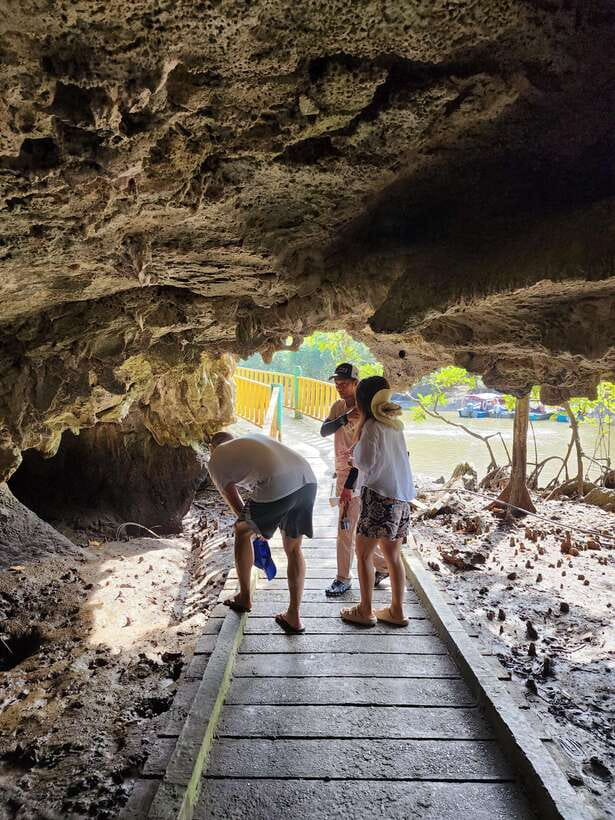 Langkawi : Kilim Mangrove Boat & Fun Kayak Tour with Lunch - Key points to know before booking