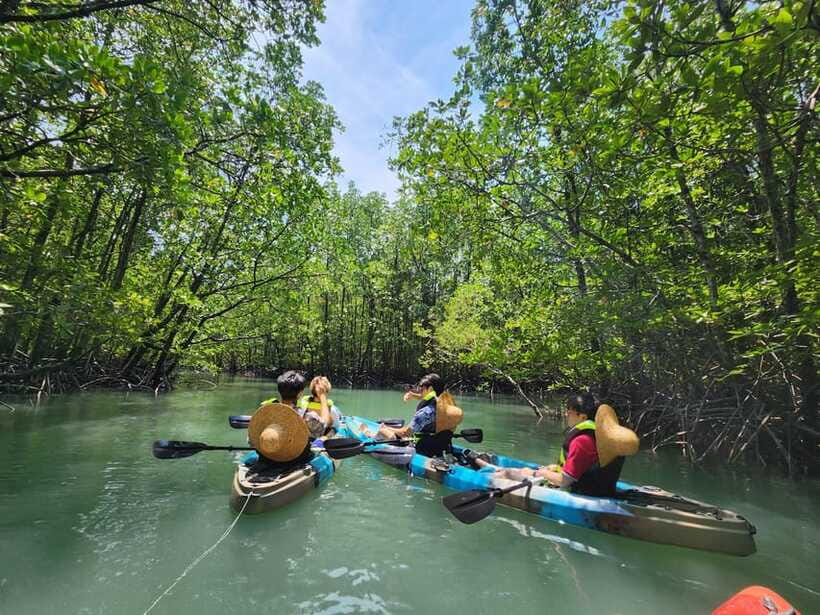 Langkawi : Kilim Mangrove Boat & Fun Kayak Tour with Lunch - A guide-led nature lesson, not just transport