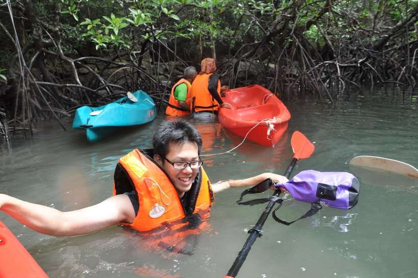Langkawi: Kilim River Mangrove Safari Kayaking Tour - Wildlife without the usual circus