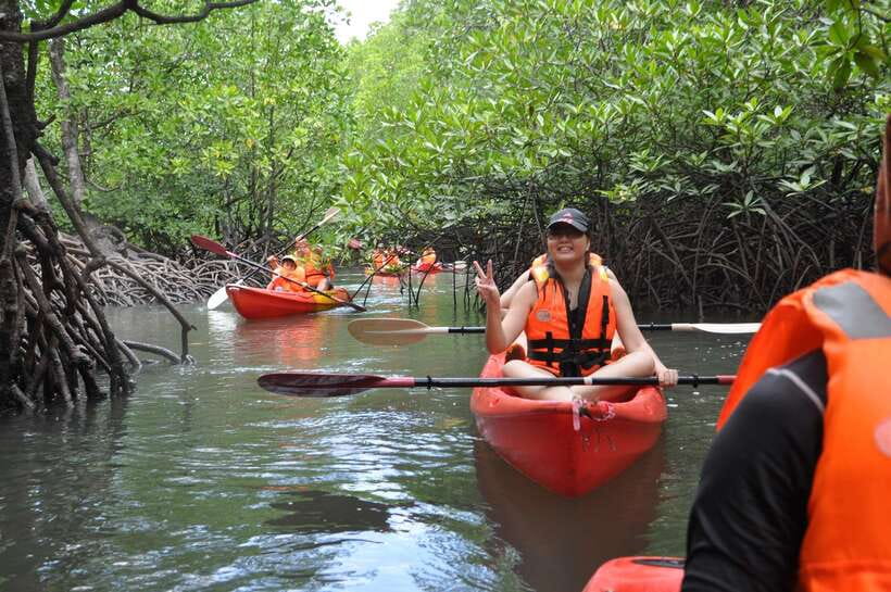 Langkawi: Kilim River Mangrove Safari Kayaking Tour - Bat Cave and the strange life underground
