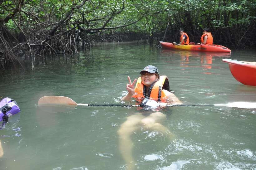 Langkawi: Kilim River Mangrove Safari Kayaking Tour - Is $71 a fair price?