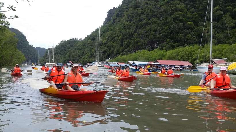 Langkawi: Kilim River Mangrove Safari Kayaking Tour - Who will enjoy this most?