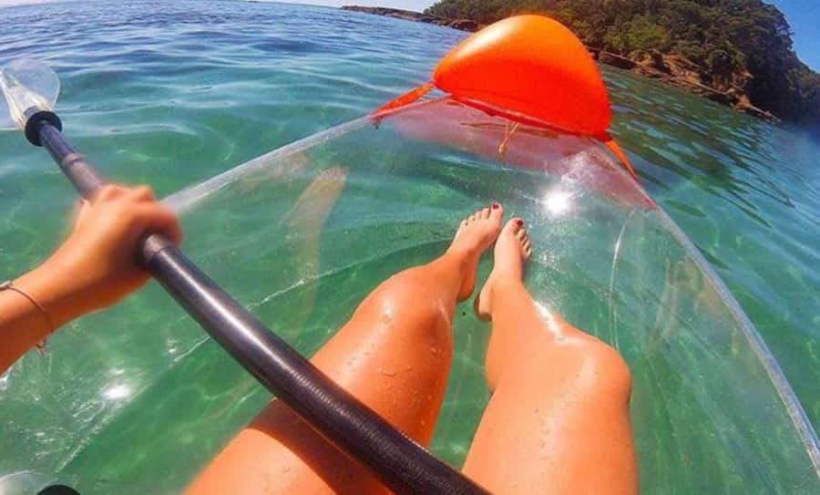Leigh: Goat Island Clear Kayak Rental - Starting on Goat Island beach