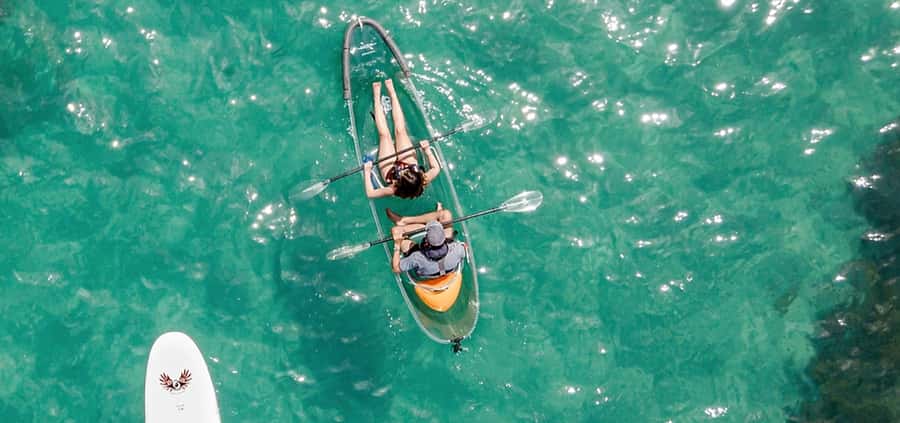 Leigh: Goat Island Clear Kayak Rental - Paddling through Goat Island Marine Reserve