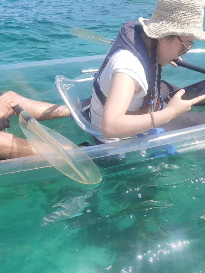 Leigh: Goat Island Clear Kayak Rental - Is $107 good value for one hour?