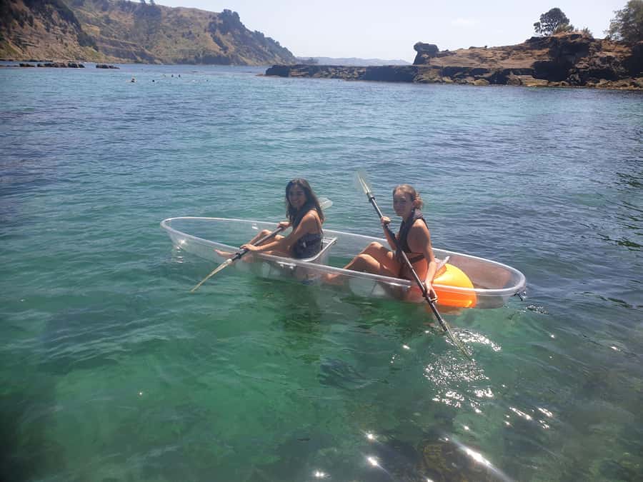 Leigh: Goat Island Clear Kayak Rental - The best match for this experience