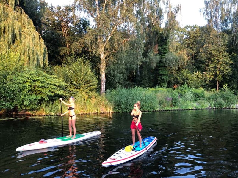 Leipzig: Cospudener Lake Stand-Up Paddleboard Course - Learning the basic paddle strokes