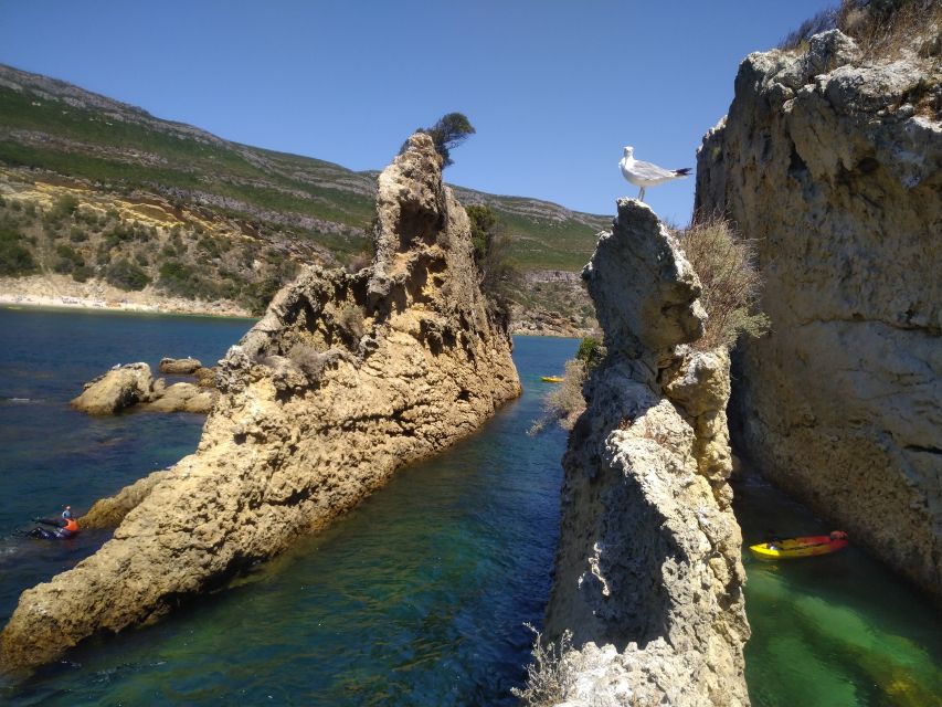 Lisbon: Arrábida Kayak and Coasteering Adventure Tour - Cliff jumps are optional, not a test