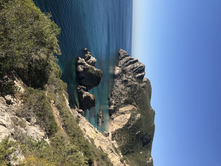 Lisbon: Arrabida Park Kayak Tour with Beach Picnic - Who will enjoy this tour most