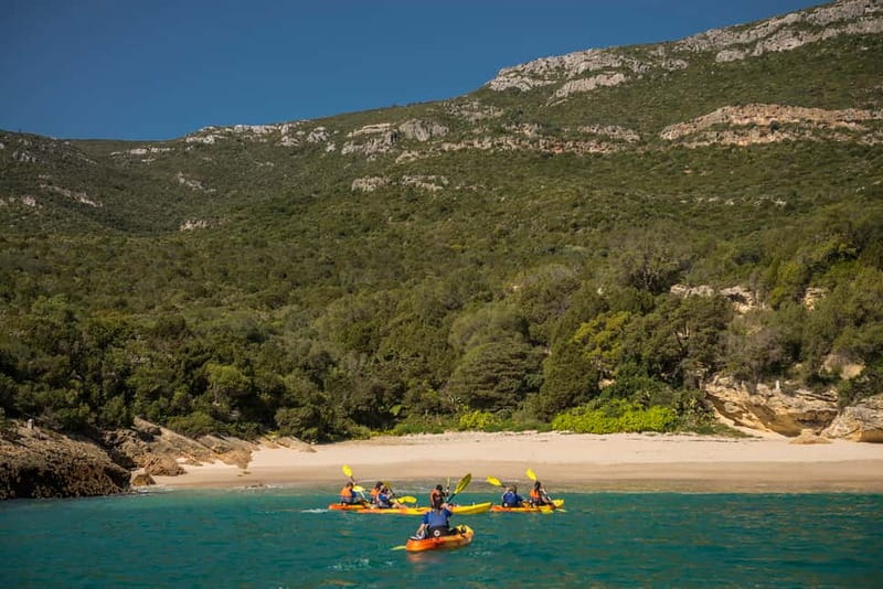 Lisbon: Kayak Tour Arrábida Natural Park, Setubal, Sesimbra - Safety, guides, and the support boat