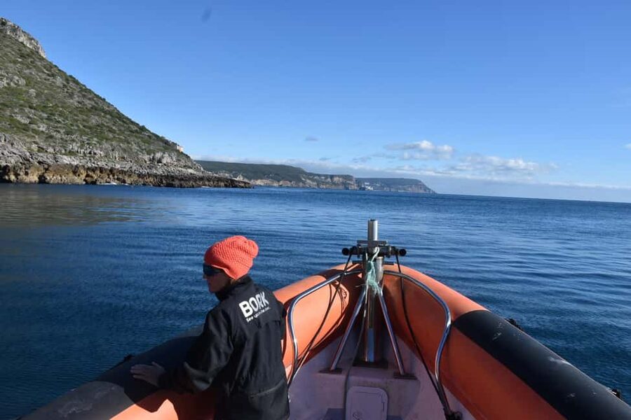 Lisbon: Sesimbra Kayak Discovery Experience - Following the cliffs through Arrábida Natural Park