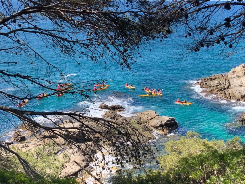 Lloret de Mar: 3-Hour Kayak and Snorkel Tour on Costa Brava - Who should book this outing