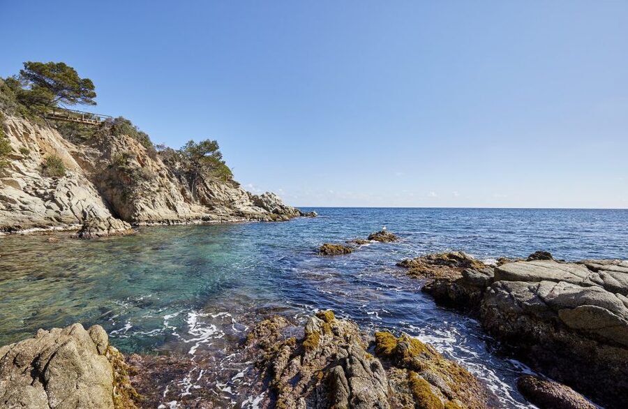 Lloret de Mar: Costa Brava Kayak Tour and Swimming - A gentle way to see the Costa Brava from Lloret