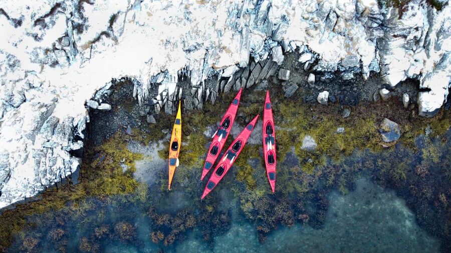 Lofoten: Half-Day Winter Kayak Adventure - Is $115 a fair price?