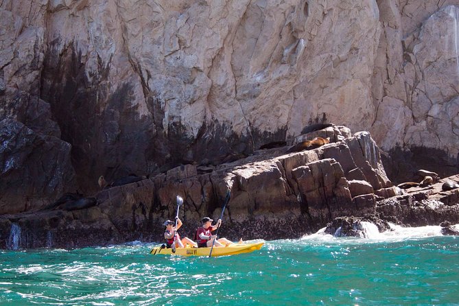 Los Cabos Arch and Playa del Amor Tour by Glass Bottom Kayak - What the Three Hours Really Include