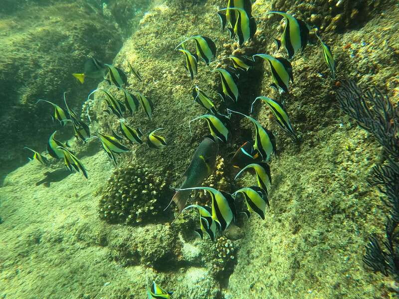 Los Cabos: Kayak to The Arch & Snorkel + Transport & Photos - Who should book this morning on the water