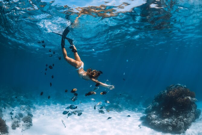 Los Cabos Power snorkel Adventure, Kayaking and Stand-Up Paddle - A fast start from Cabo San Lucas marina