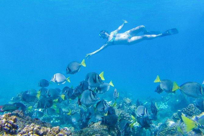 Los Cabos Power snorkel Adventure, Kayaking and Stand-Up Paddle - Snorkeling, kayaking, and paddleboarding