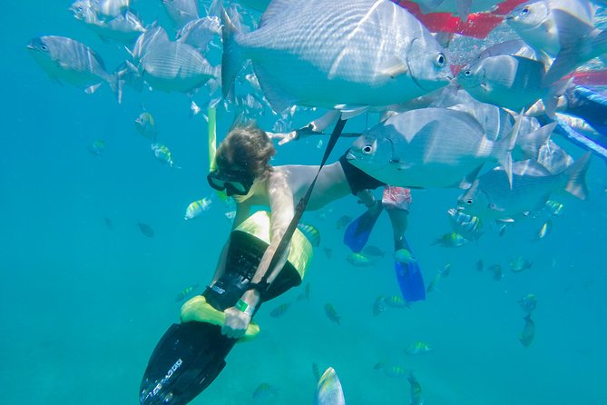 Los Cabos Power snorkel Adventure, Kayaking and Stand-Up Paddle - Is the $99 price good value?