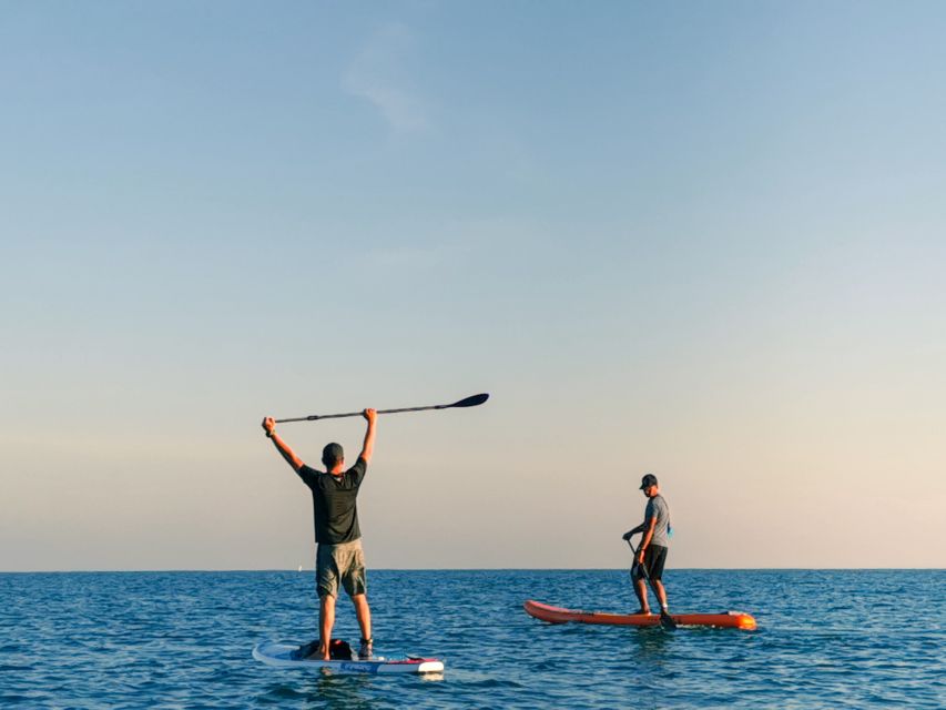 Los Cristianos : 1 Hour of Paddle surf Rental - Your one-hour route across the bay