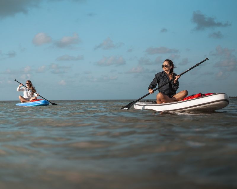 Los Cristianos : 1 Hour of Paddle surf Rental - Should you book AdVentoure Kayak?