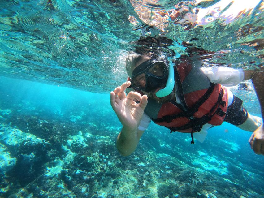 Los Cristianos: Kayaking and Snorkeling with Marine Wildlife - Should you book the Los Cristianos kayak trip?