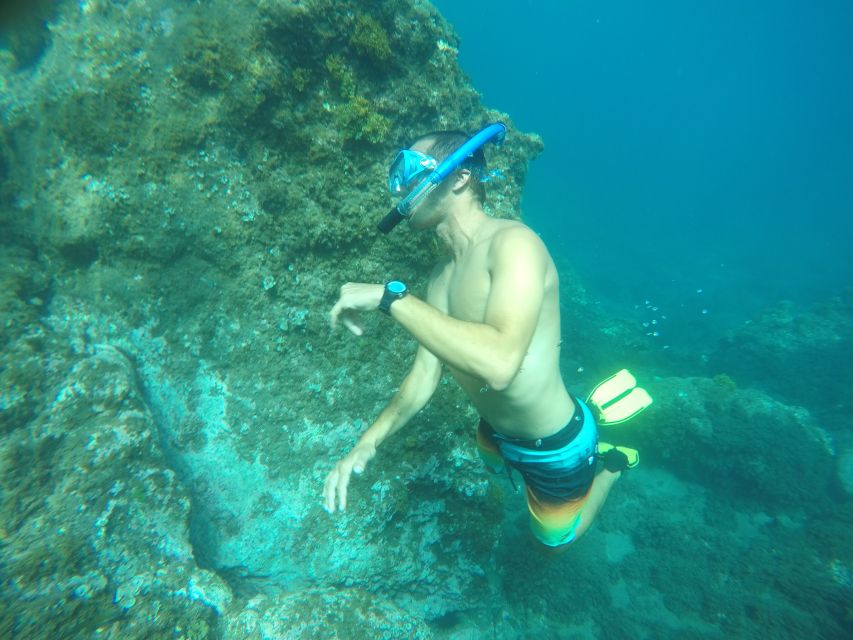 Madeira: Garajau Nature Reserve Kayak and Snorkel Tour - Why this three-hour tour is worth considering