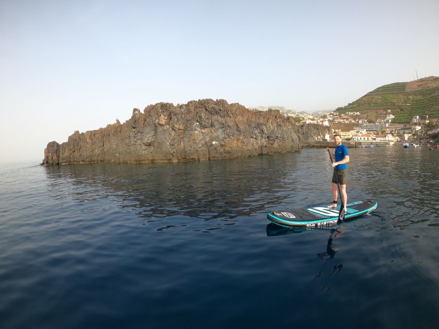 Madeira: Private Paddleboard & Snorkel - Snorkeling and marine life