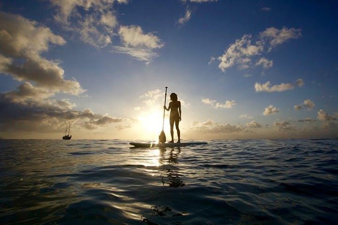 Magic Island Honolulu Stand Up Paddling - A one-hour lesson with room to learn