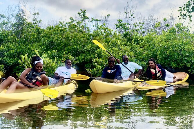 Magic Mangrove Paddle in Beef Island Lagoon - What the guide adds to the experience